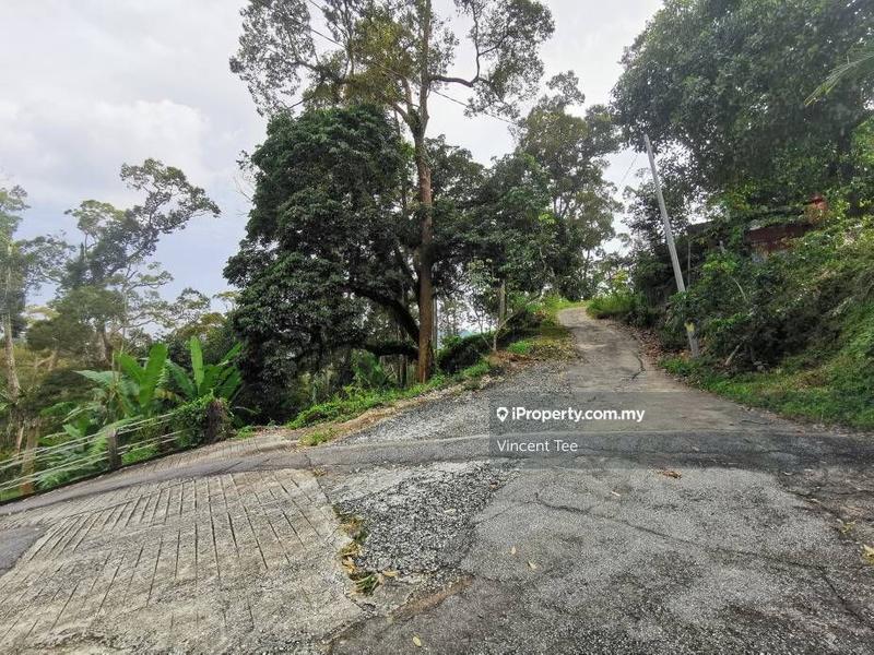 Tanah Pertanian untuk Dijual di Bukit Relau, Balik Pulau oleh Vincent Tee - iProperty.com.my
