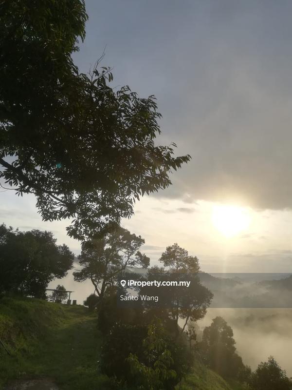 Tanah Pertanian untuk Dijual di Bandar Tras, Raub oleh Santo Wang - iProperty.com.my