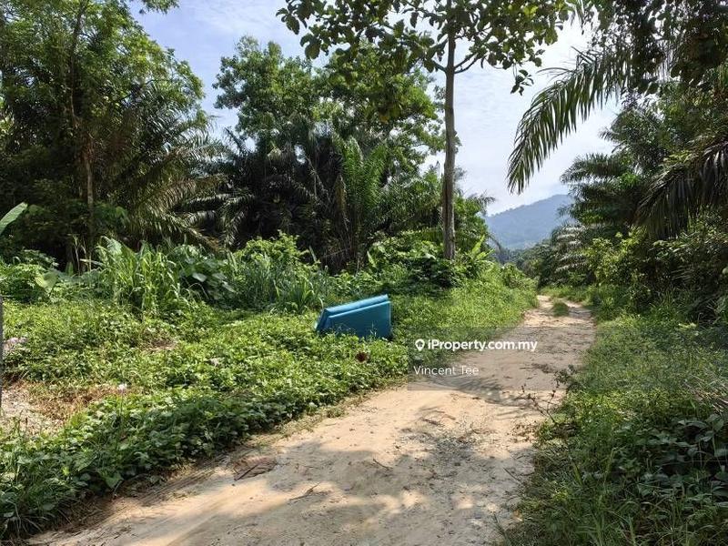 Tanah Pertanian untuk Dijual di Kampung Sungai Lalang, Semenyih oleh Vincent Tee - iProperty.com.my