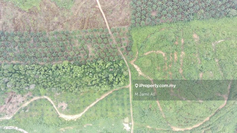 For Sale - Kampung Rahmat