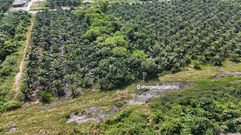 Agricultural Land for Sale in Kampung Jenjarom, Jenjarom by Aziz Ahmad - iProperty.com.my