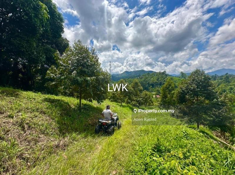 For Sale - Agricultural Land Kuala Kerai, Kelantan