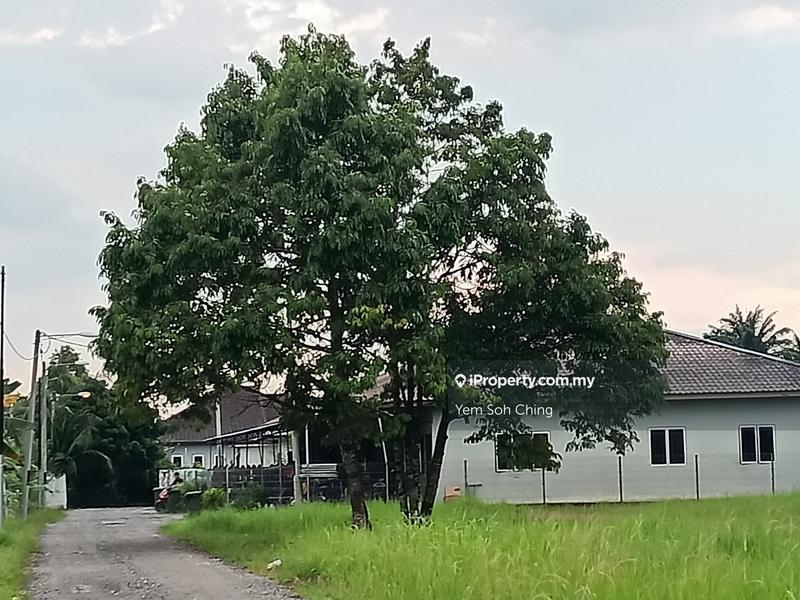 Agricultural Land for Rent in Jalan Kebun, Klang by Yem Soh Ching - iProperty.com.my