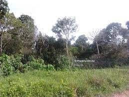 For Sale - Freehold Agricultural land at Pulau Meranti For Sale @ Puchong