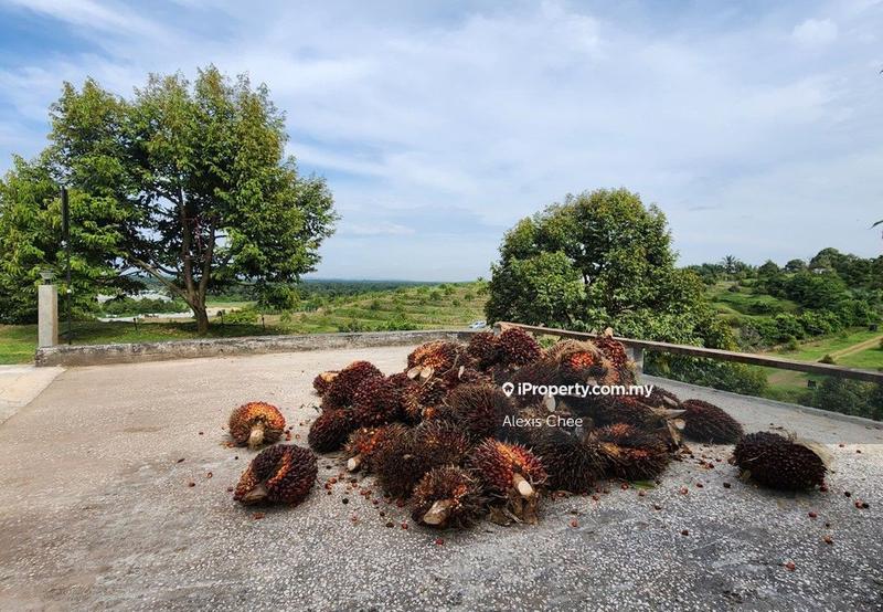 Agricultural Land for Sale in Gopeng, Perak by Alexis Chee - iProperty.com.my