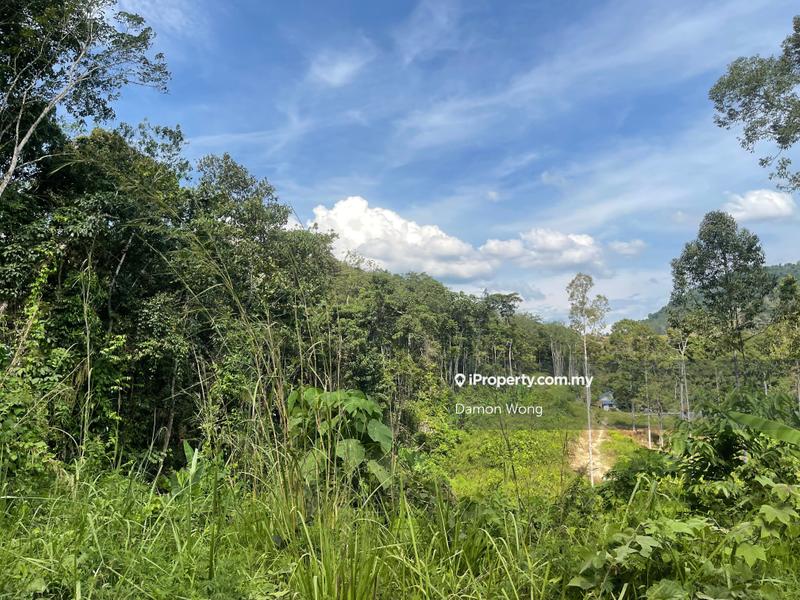 Agricultural Land for Sale in Sungai Dua, Bentong by Damon Wong - iProperty.com.my