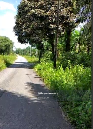 For Sale - 4.275 Acres Agriculture Land with Palm Oil Trees @ Bukit Panjang, Pekan Nenas