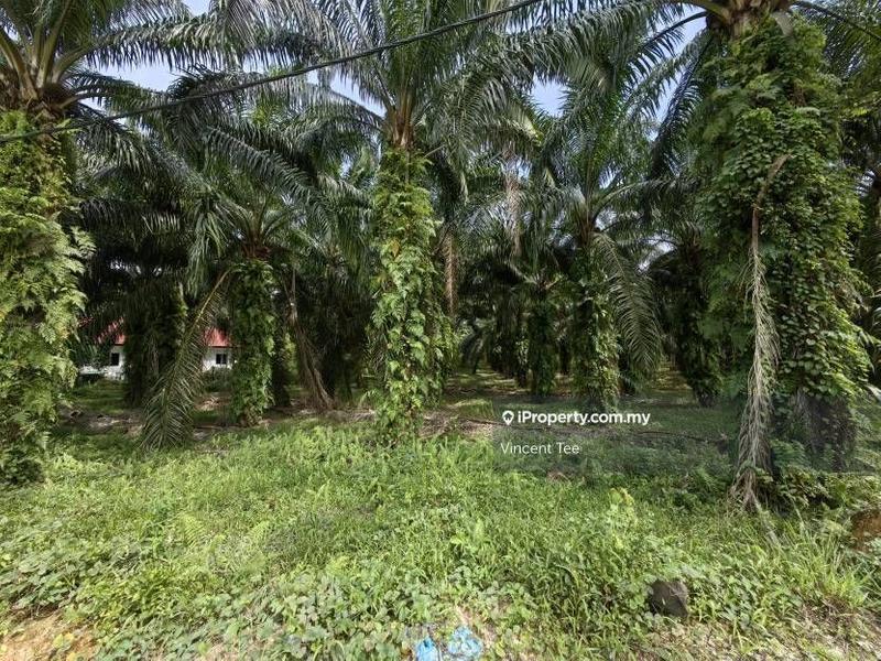Agricultural Land for Sale in Kampung Jenderam Hulu, Dengkil by Vincent Tee - iProperty.com.my