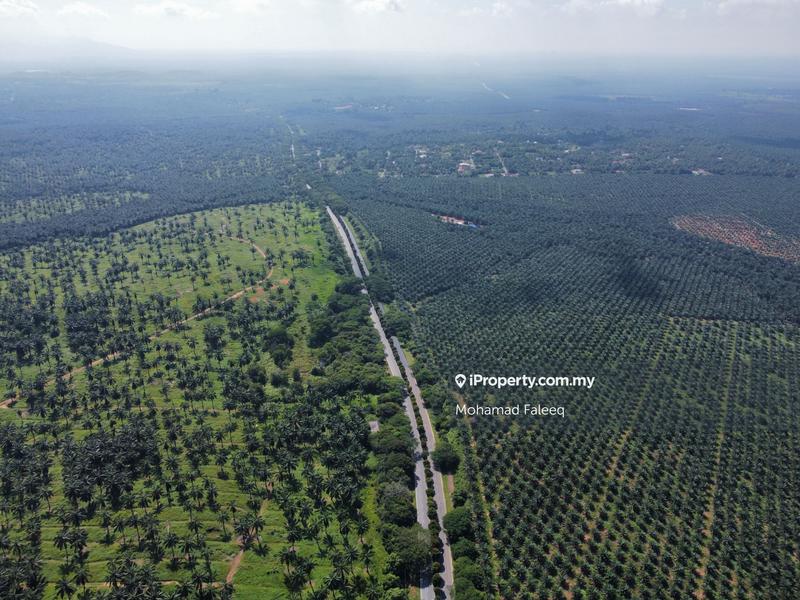 Industrial Land for Sale in Jasin, Melaka by Mohamad Faleeq - iProperty.com.my