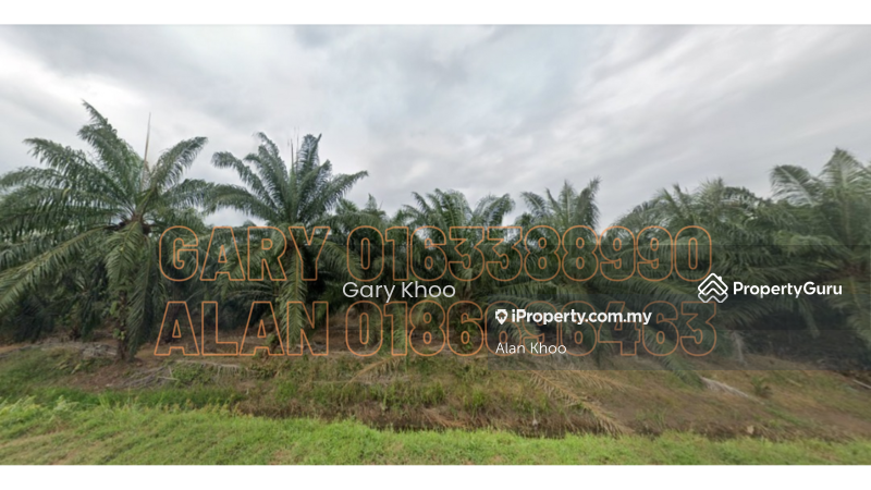 For Rent - Telok Panglima Garang 3.47 Acre Agriculture Land Industrial Zone For Sale Klang Telok gong Westport