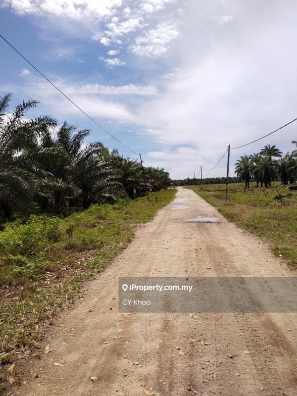 For Sale - Perak Tengah Jaya Baru Sitiawan Lekir 972 acres Palm Oil Land for SALE