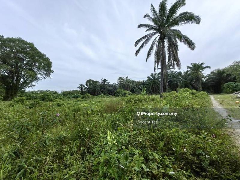 Agricultural Land for Sale in Kota Warisan, Sepang by Vincent Tee - iProperty.com.my