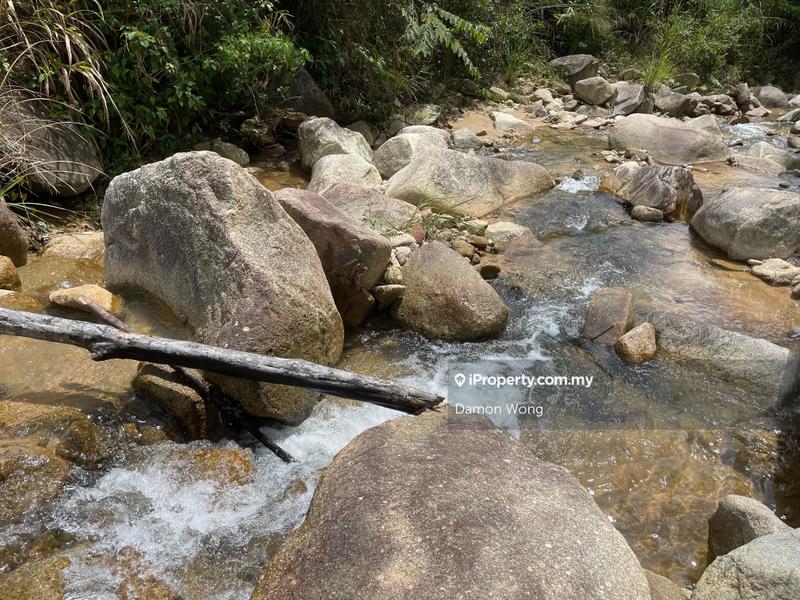 For Sale - Leased land 675 acres with durian