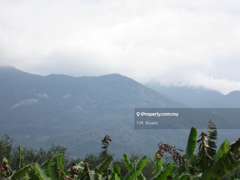 Agricultural Land for Sale in TAMPIN, Asahan by Bryant Be - iProperty.com.my