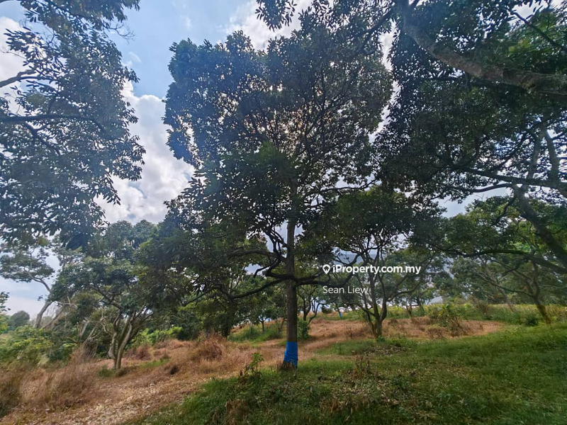 Tanah Pertanian untuk Dijual di Jasin , Melaka, Jasin oleh Sean Liew - iProperty.com.my