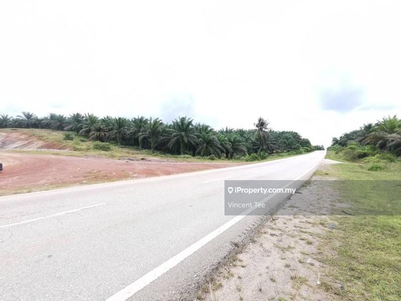 Agricultural Land for Sale in Bukit Kuin, Kuantan by Vincent Tee - iProperty.com.my