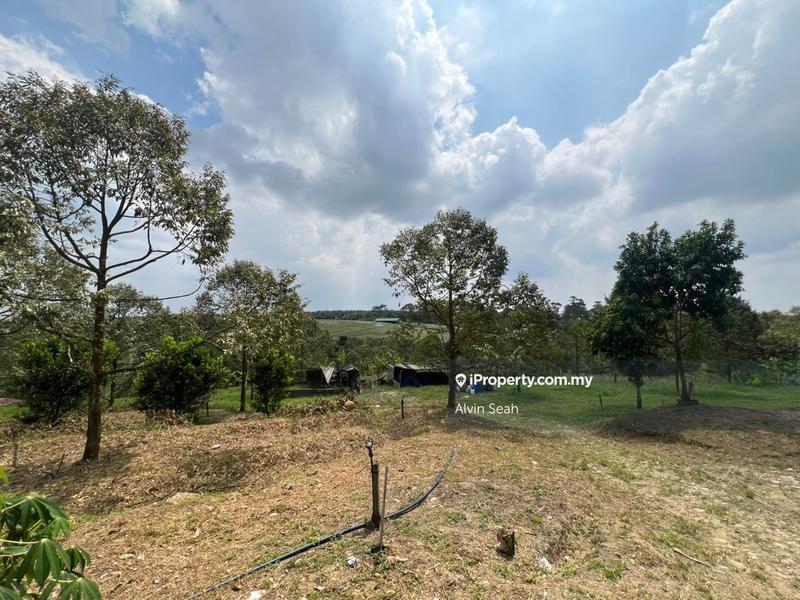 Tanah Pertanian untuk Dijual di Senai, Johor oleh Alvin Seah - iProperty.com.my