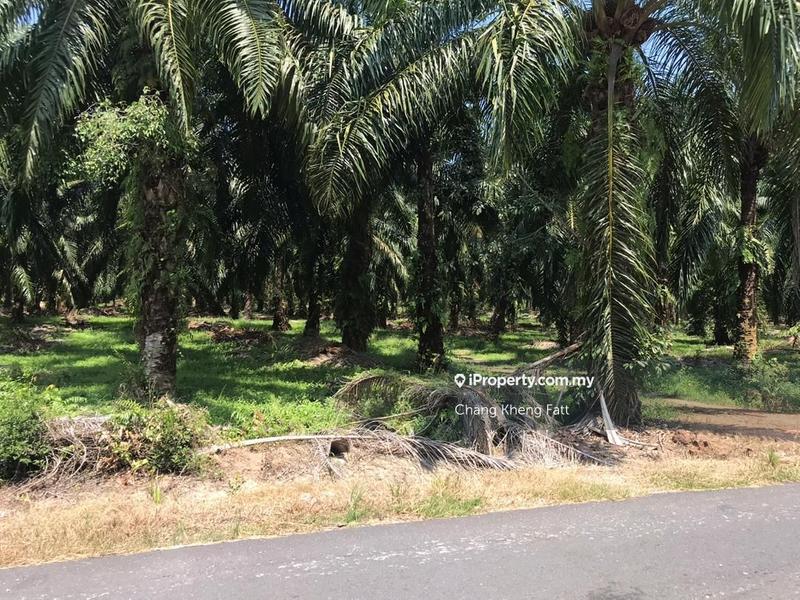 Tanah Pertanian untuk Dijual di Kampung Teluk Mengkuang, Telok Panglima Garang oleh Chang Kheng Fatt - iProperty.com.my
