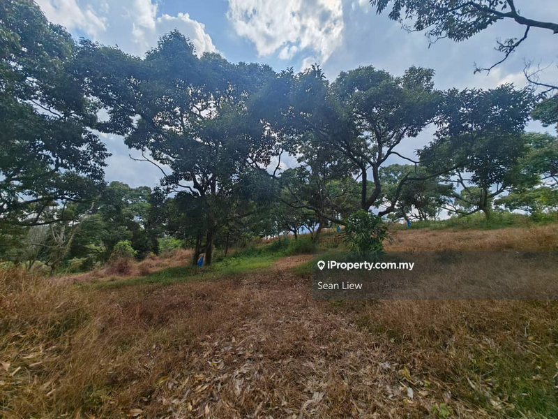 Tanah Pertanian untuk Dijual di Jasin , Melaka, Jasin oleh Sean Liew - iProperty.com.my