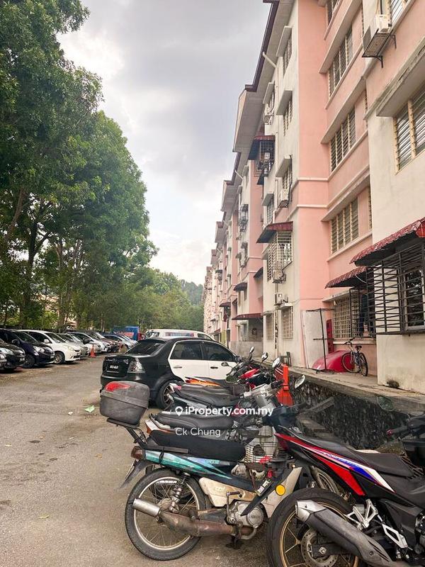 For Sale - Sri Dahlia