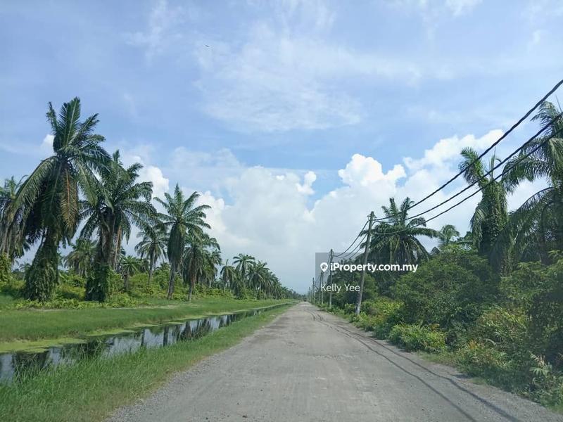 Tanah Pertanian untuk Dijual di Nibong Tebal, Penang oleh Kelly Yee - iProperty.com.my