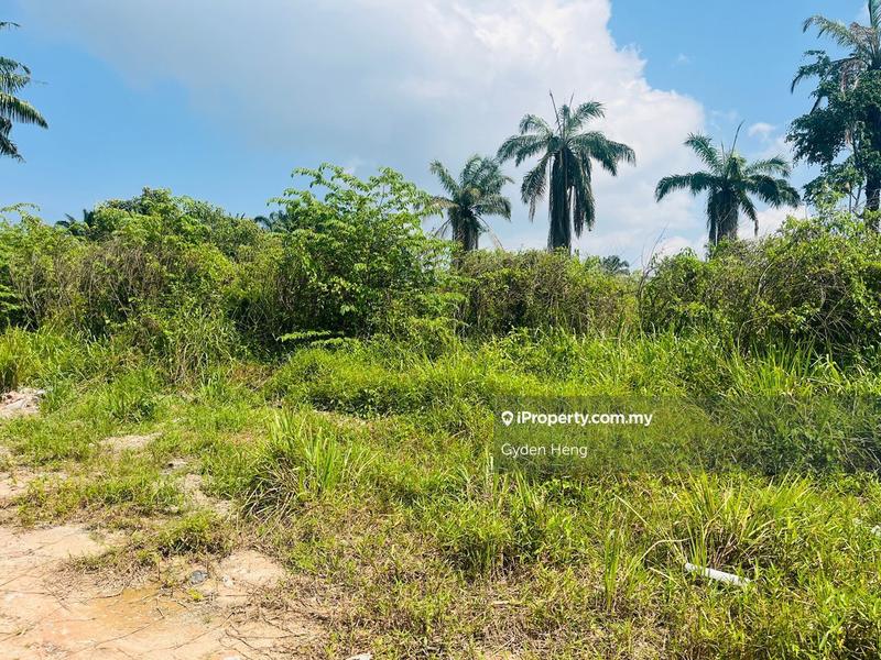 Agricultural Land for Sale in Taman Pontian Jaya, Pontian by Gyden Heng - iProperty.com.my