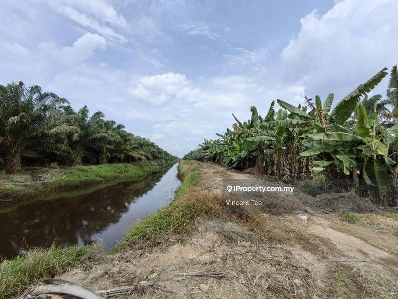 Agricultural Land for Sale in Kampung Tiram Buruk, Tanjong Karang by Vincent Tee - iProperty.com.my