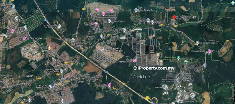 Agricultural Land for Sale in Simpang Gading, Durian Tunggal by Jack Lee - iProperty.com.my