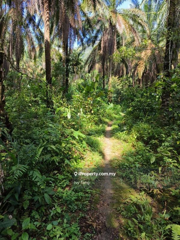 Agricultural Land for Rent in Taman Tambun, Ipoh by Ivy Tang - iProperty.com.my
