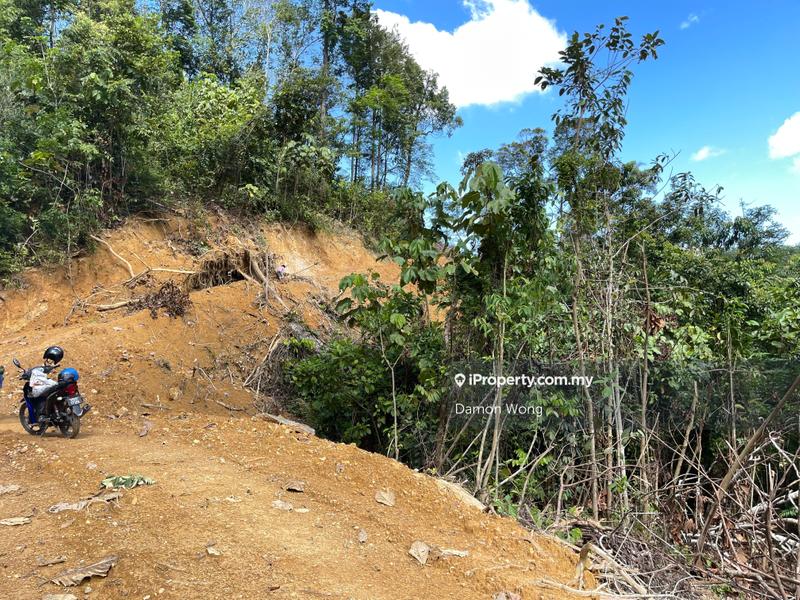 Agricultural Land for Sale in Karak, Bentong by Damon Wong - iProperty.com.my