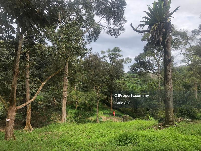 Tanah Pertanian untuk Dijual di Bentong, Pahang oleh Marie CLP - iProperty.com.my
