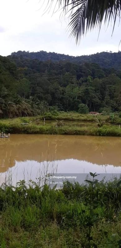 Tanah Pertanian untuk Dijual di Taman Jelebu, Kuala Klawang oleh William Ng - iProperty.com.my