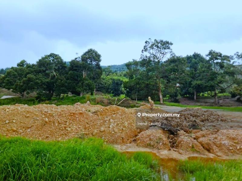 Agricultural Land for Sale in Karak, Pahang by Irene Leong - iProperty.com.my