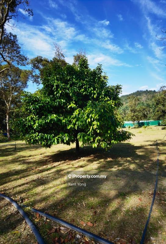 Tanah Pertanian untuk Dijual di Lenggeng, Negeri Sembilan oleh Kent Yong - iProperty.com.my