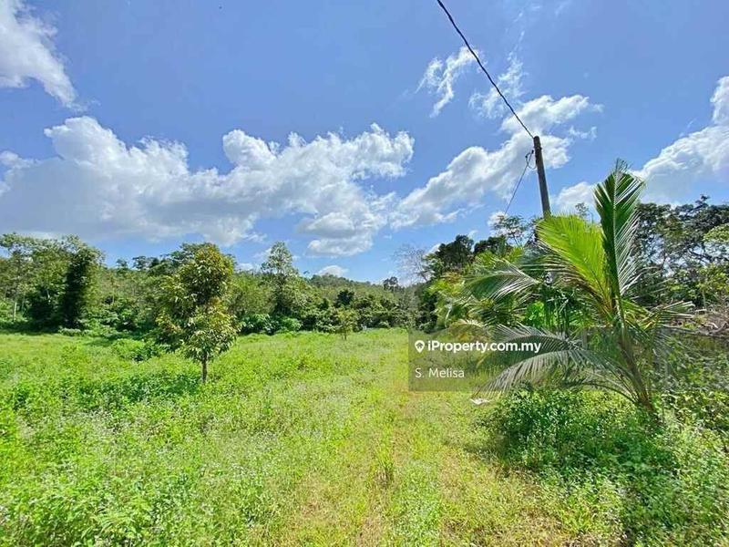 Agricultural Land for Sale in Bukit Damar, Lanchang, Temerloh by S. Melisa - iProperty.com.my