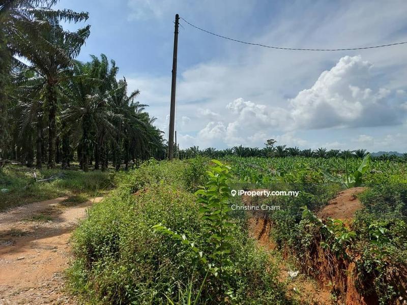 For Sale - Kota Tinggi  Kampung Mawai Jaya