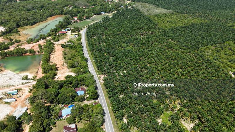 Agricultural Land for Sale in UITM Merbok, Merbok by Adam Wong - iProperty.com.my
