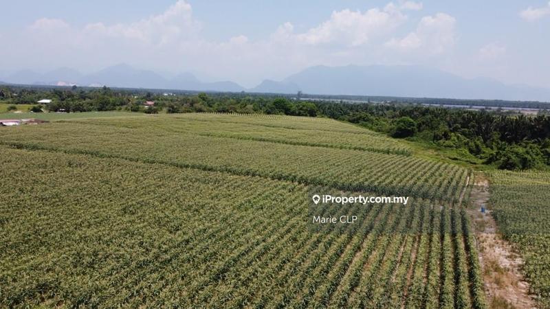Agricultural Land for Sale in Kota Bharu, Gopeng by Marie CLP - iProperty.com.my