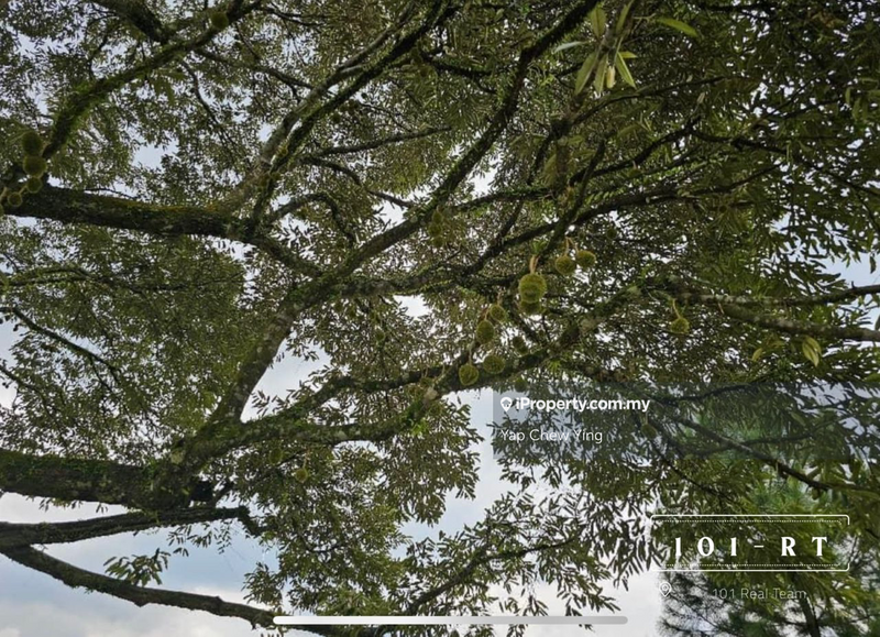 Agricultural Land for Sale in Kampung Sungai Makau, Hulu Langat by Yap Chew Ying - iProperty.com.my