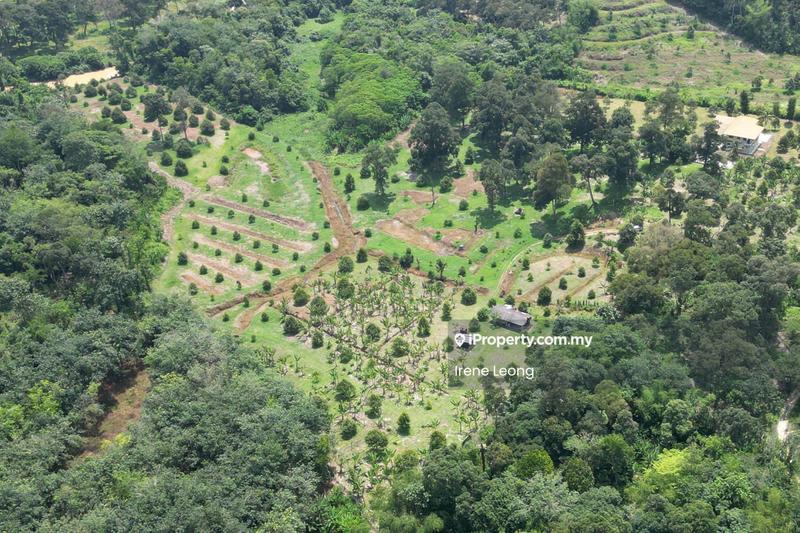 Agricultural Land for Sale in Karak, Pahang by Irene Leong - Exterior - iProperty.com.my