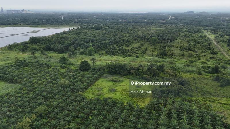 Tanah Pertanian untuk Dijual di Banting, Banting oleh Aziz Ahmad - iProperty.com.my