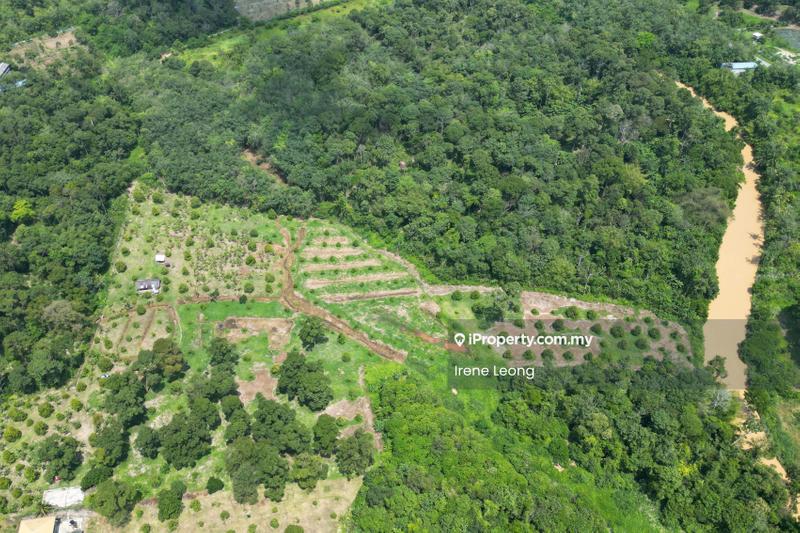 Agricultural Land for Sale in Karak, Pahang by Irene Leong - Exterior - iProperty.com.my