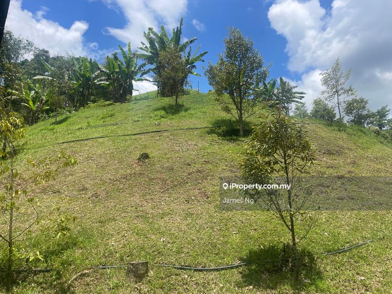 Agricultural Land for Sale in Bukit Tinggi, Bentong by James Ng - iProperty.com.my