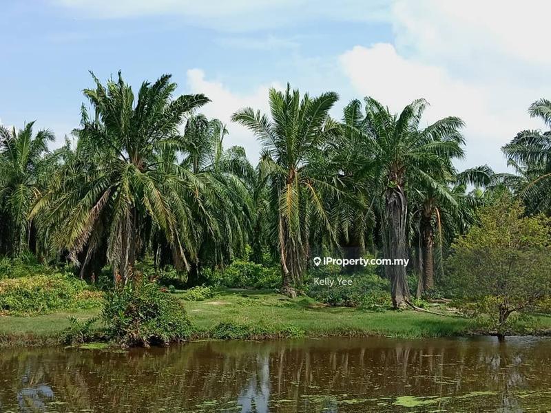 Tanah Pertanian untuk Dijual di Nibong Tebal, Penang oleh Kelly Yee - iProperty.com.my