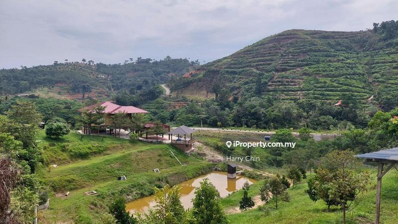 Agricultural Land for Sale in Bentong, Pahang by Harry Chin - iProperty.com.my