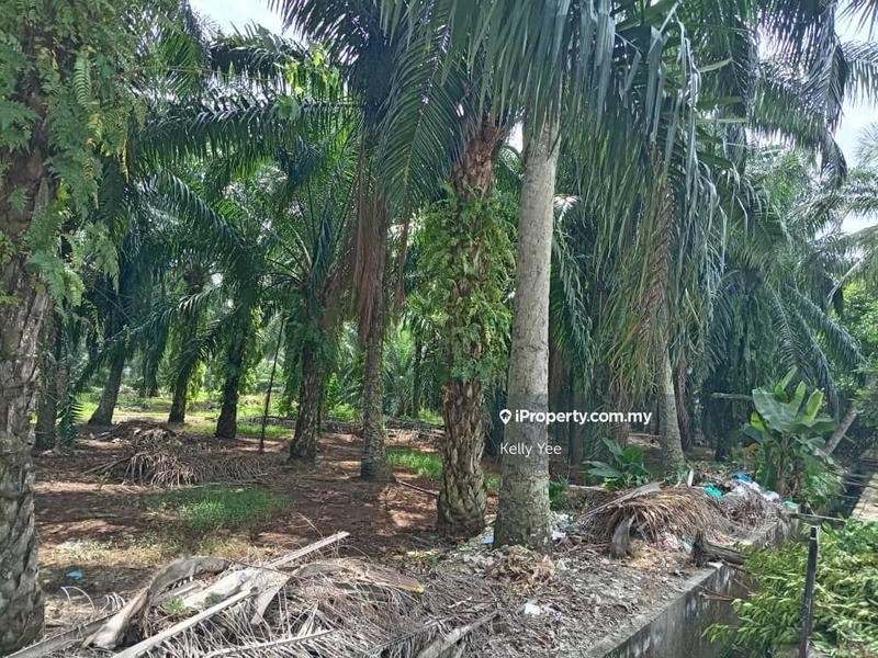 Tanah Pertanian untuk Dijual di Taman Sukun, Bukit Mertajam oleh Kelly Yee - iProperty.com.my