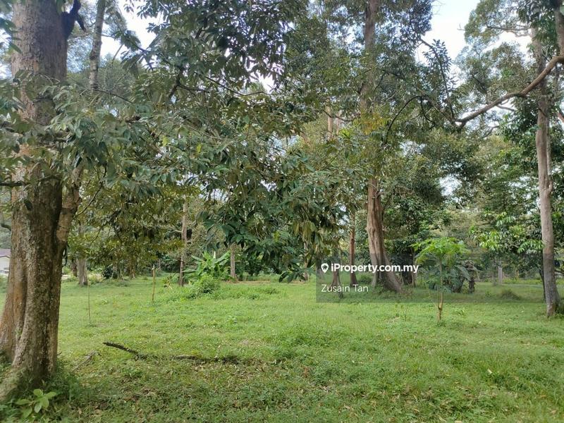 Tanah Pertanian untuk Dijual di Pulau Betong, Balik Pulau oleh Zusain Tan - iProperty.com.my