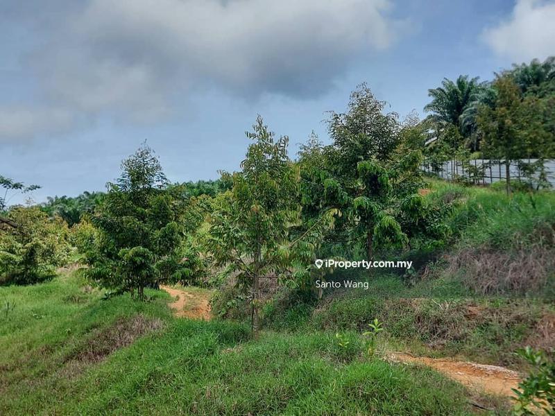 Agricultural Land for Sale in Sungai Tiram, Ulu Tiram by Santo Wang - iProperty.com.my