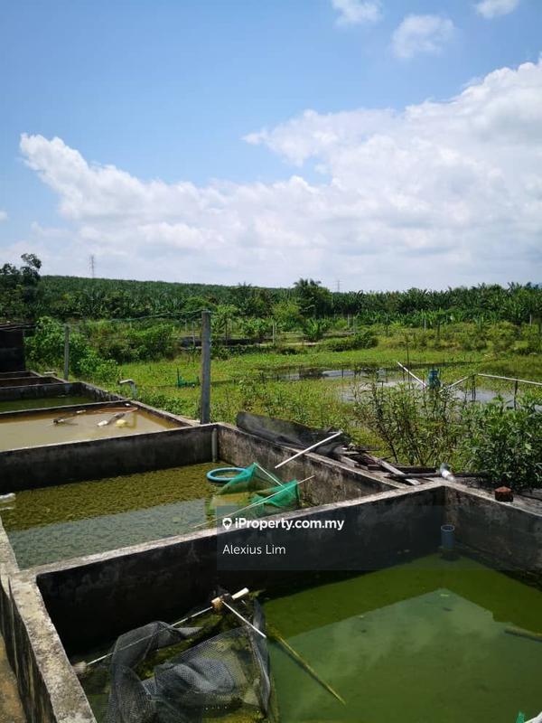 Agricultural Land for Sale in Kulai, Kulai by Alexius Lim - iProperty.com.my
