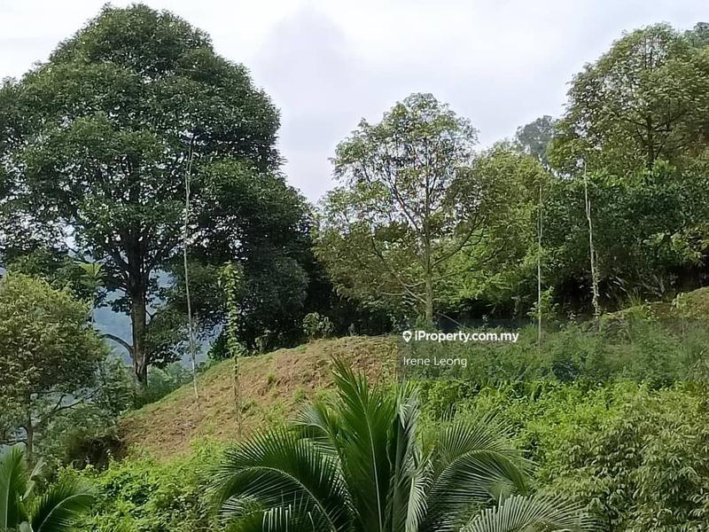 Agricultural Land for Sale in Raub, Pahang by Irene Leong - iProperty.com.my